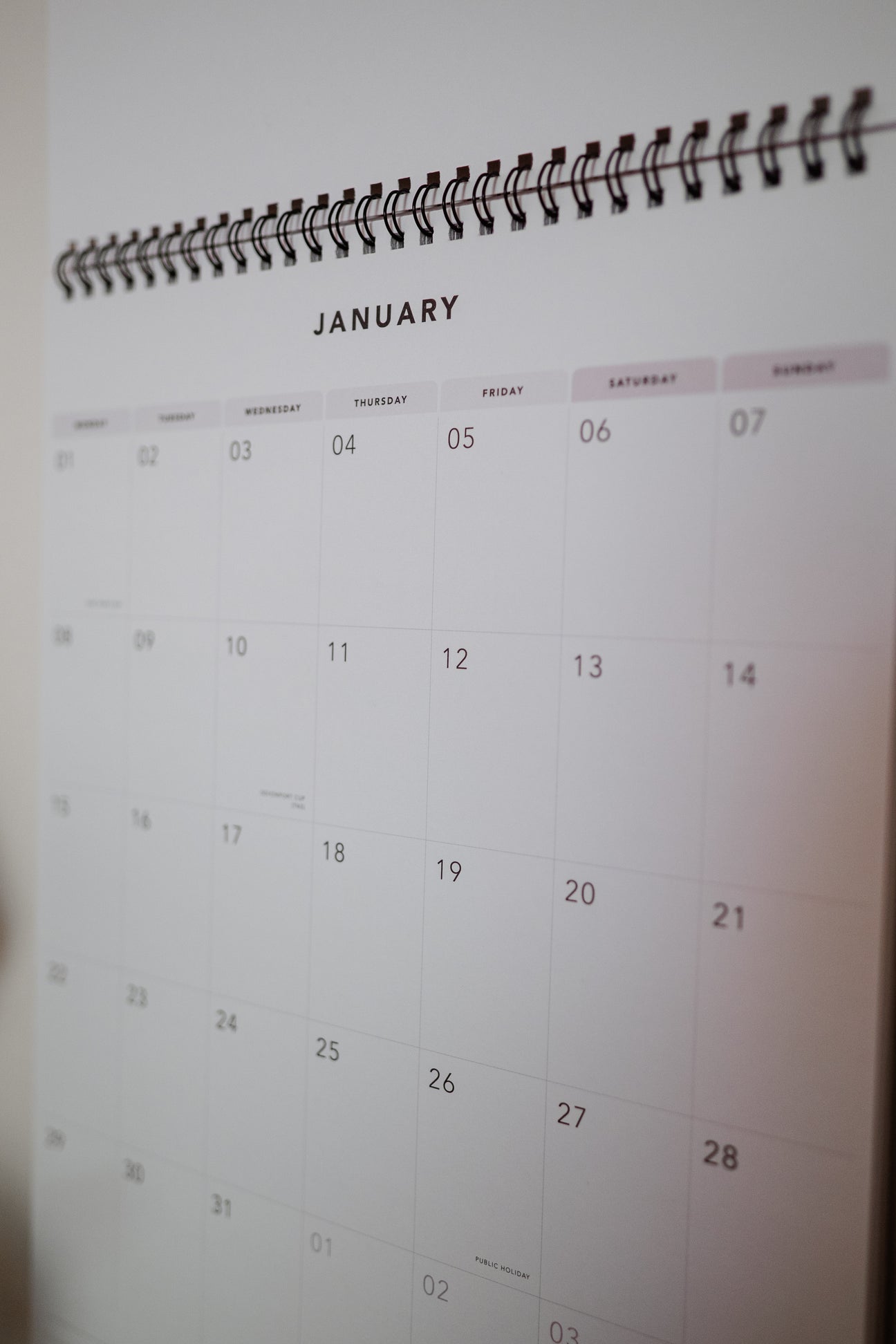 2024 Wildkinship Calendar